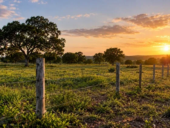 Terreno plano com cerca de arame e uma árvore ao fundo, ao pôr do sol
