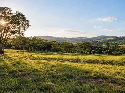 Campo verde com árvores e colinas ao fundo, ao pôr do sol, representando um terreno rural